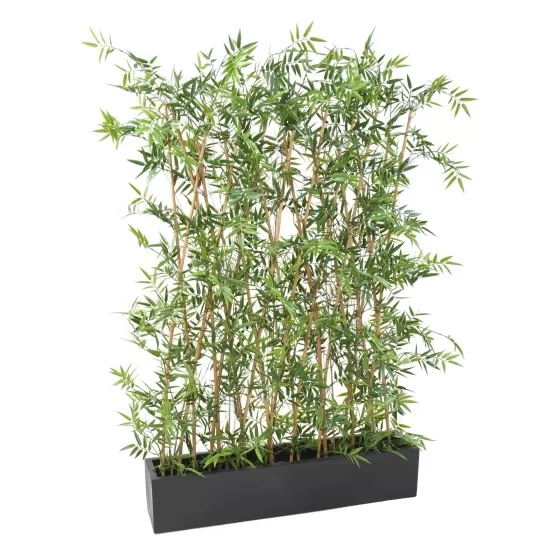 Bambous avec jardinière
