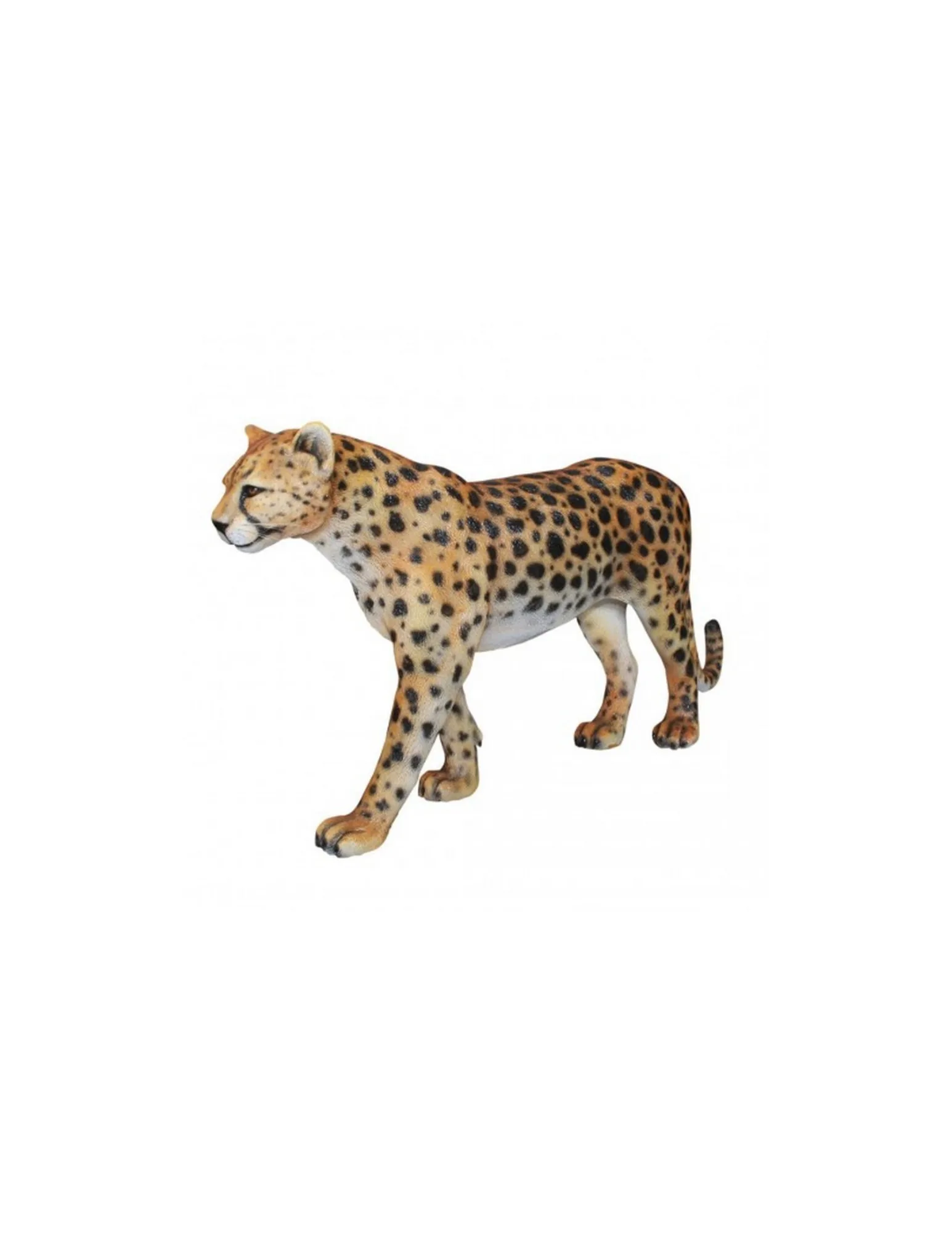 Guépard