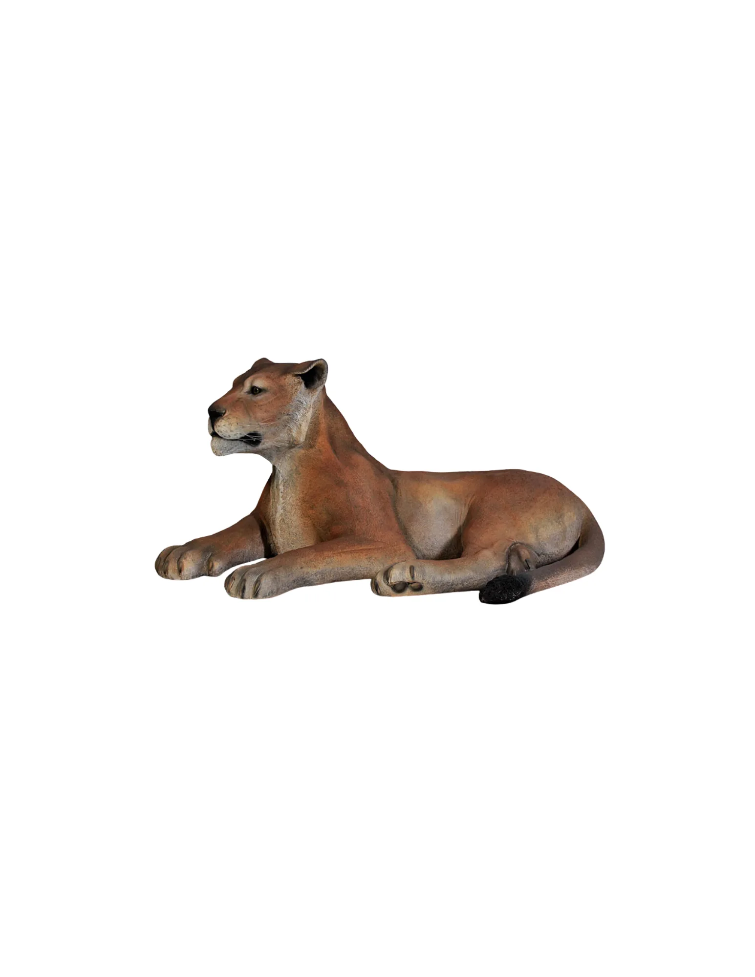 Lionne