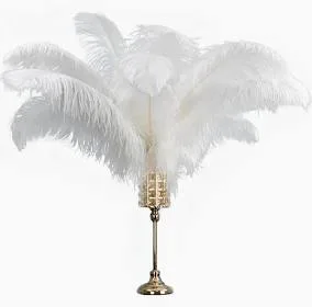 Plume d'autruche